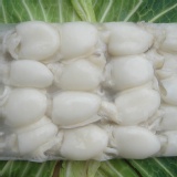 迷你小花枝 適合川燙、3杯、快炒、火鍋