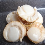 嚴選扇貝肉 (熟)適合川燙、沙拉、快炒 6月新品試吃價