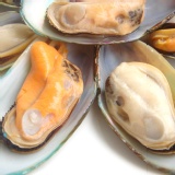 紐西蘭半殼淡菜(孔雀蛤) 中秋烤物特價商品
