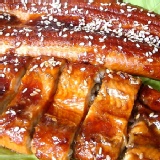 嚴選日式浦燒鰻