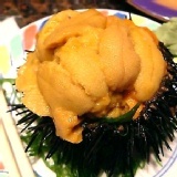 嚴選澎湖馬糞海膽 特價：$189