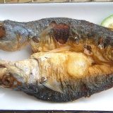 嚴選基隆㊣船釣白腹鯖魚