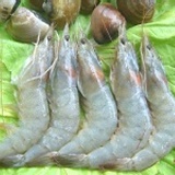 嚴選㊣台灣養殖白蝦