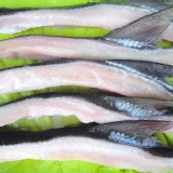 虱目魚領(背鰭)有刺