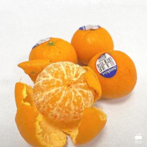 免運!【舒果SoFresh】美國砂糖橘#44s 9kg/原裝箱 (3箱，每箱1826元)
