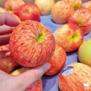 免運!【舒果SoFresh】紐西蘭加拉Gala蘋果_30顆/箱 約3.4kg/箱 (2箱60顆，每顆15.9元)
