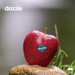 免運!【舒果SoFresh】15顆 紐西蘭Dazzle蘋果 約245g/顆