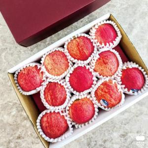【舒果SoFresh】紐西蘭加拉Gala蘋果11入禮盒