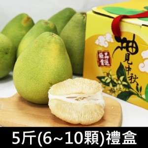 老欉極品麻豆文旦5斤(6~10顆)禮盒