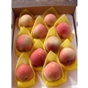 福利美甜蜜桃編號B