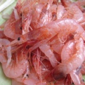 龜山島現撈櫻花蝦