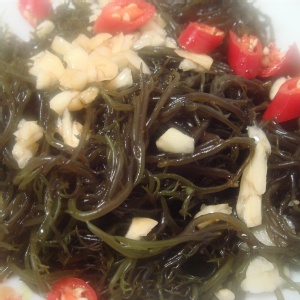 嚴選基隆現採鹿角菜