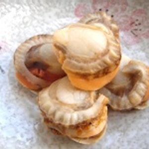 嚴選有卵帆立貝肉