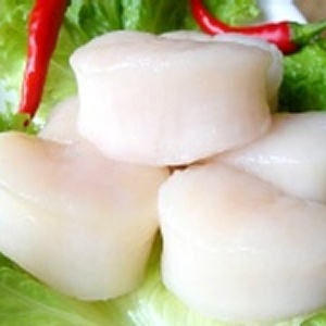 嚴選日本 特價：$89