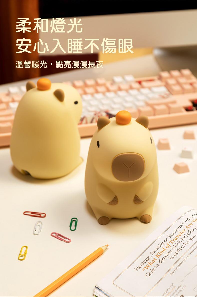 柔和燈光，安心入睡不傷眼，溫馨暖光,點亮漫漫長夜。