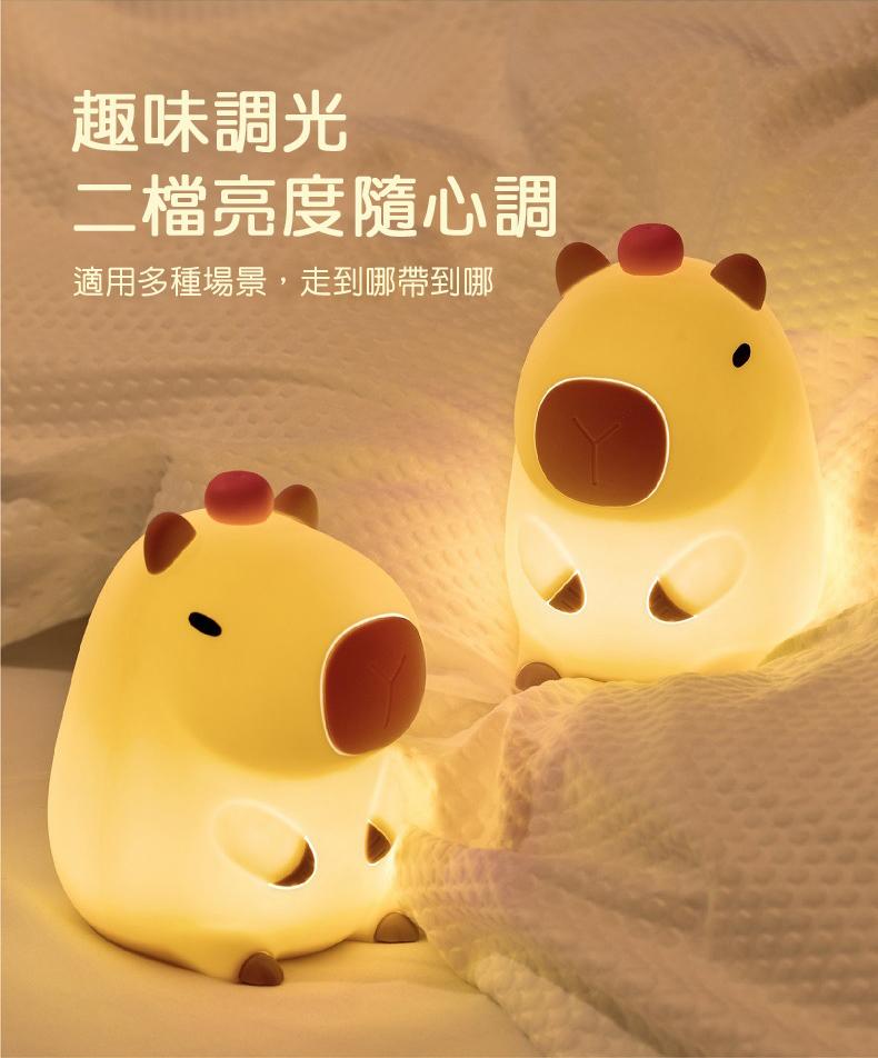 趣味調光，二檔亮度隨心調，適用多種場景,走到哪帶到哪。