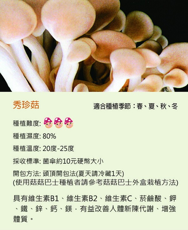 秀珍菇，適合種植季節:春、夏、秋、冬，種植難度:種植濕度:80%，種植溫度:20度-25度，採收標準:菌傘約10元硬幣大小，開包方法:頭頂開包法(夏天請冷藏1天)，(使用菇菇巴士種植者請參考菇菇巴士外盒栽植方法)，具有維生素B1、維生素B2、維生素C