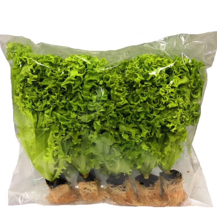 【Growala】水耕蔬菜包-七種口味任選