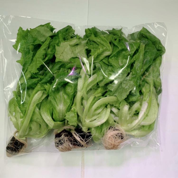 【Growala】水耕蔬菜包-七種口味任選