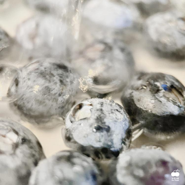 【舒果SoFresh】智利藍莓#16mm