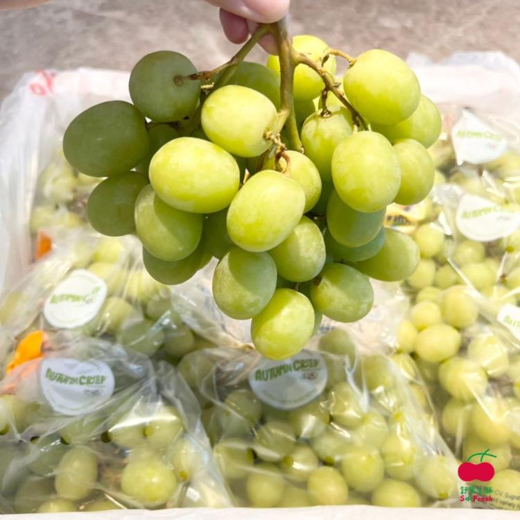 【舒果SoFresh】秘魯秋脆綠無籽葡萄 (1袋/約1kg)