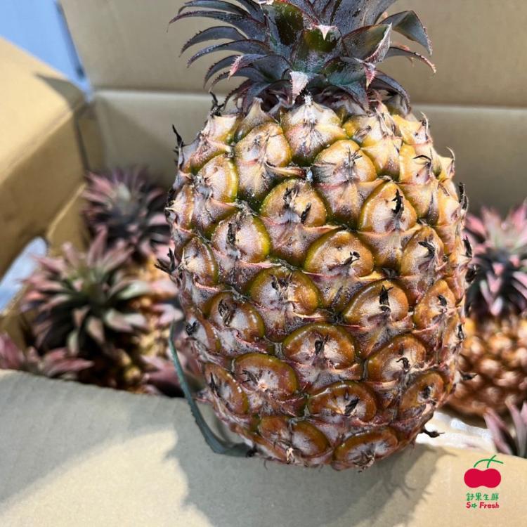 【舒果SoFresh】台灣蜜香小鳳梨 下單出貨預估約3~14個工作天