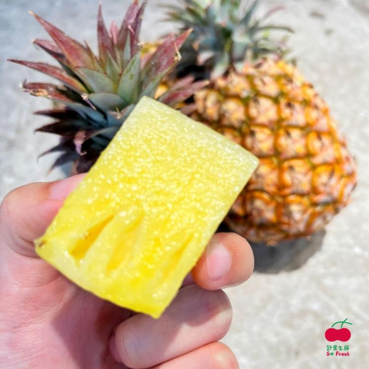 【舒果SoFresh】台灣蜜香小鳳梨 下單出貨預估約3~14個工作天