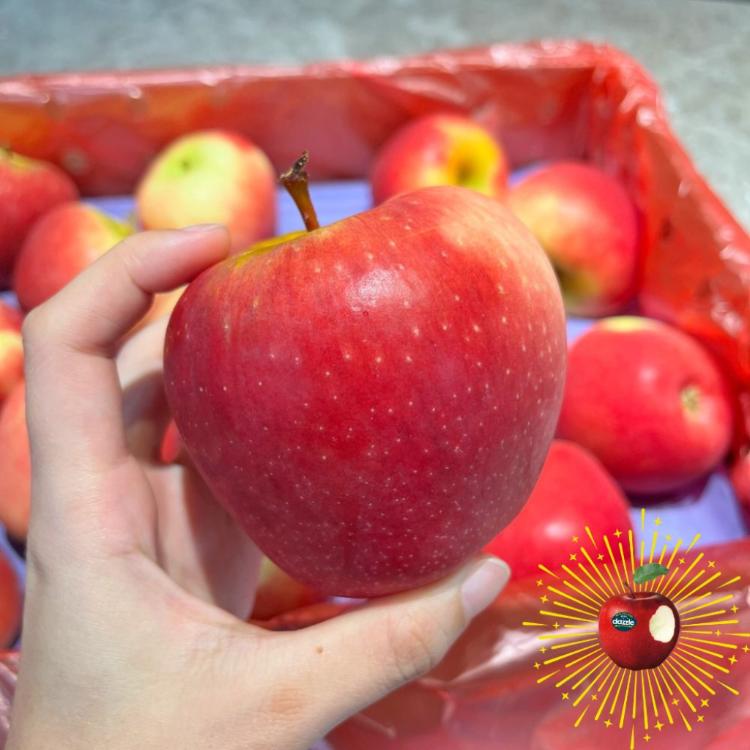 【舒果SoFresh】#90s紐西蘭 Dazzle 炫麗蘋果(15顆/約2.8kg/箱)