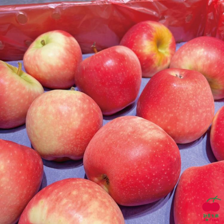 【舒果SoFresh】#90s紐西蘭 Dazzle 炫麗蘋果(15顆/約2.8kg/箱)