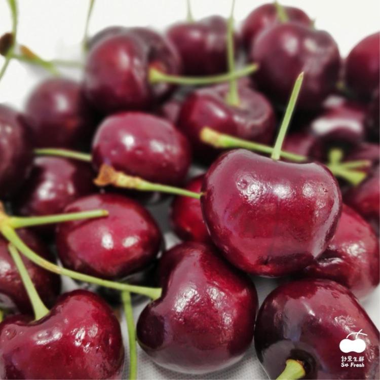 【舒果SoFresh】9.5R美國櫻桃