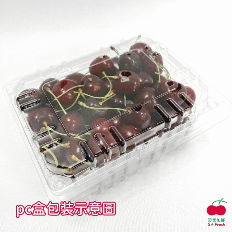 【舒果SoFresh】9.5R美國櫻桃