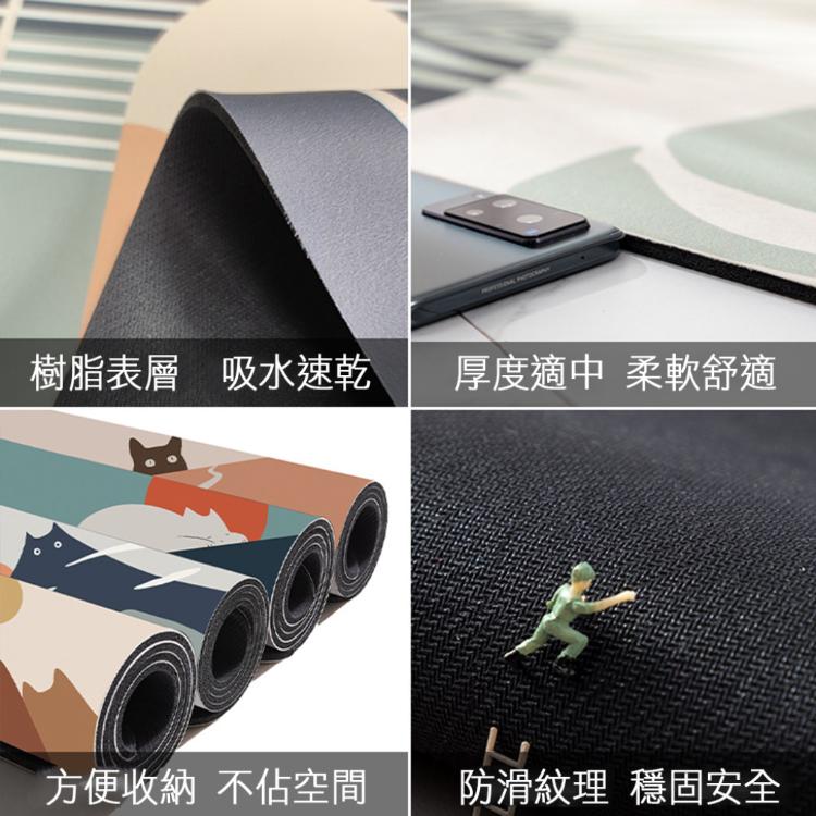 【西格生活館】畢卡喵軟硅藻土吸水地墊