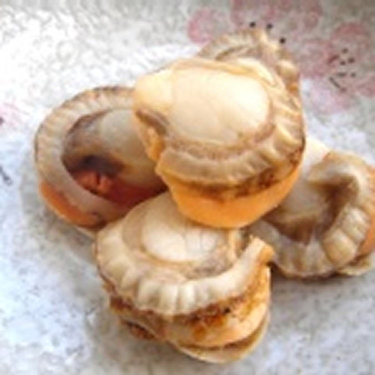 嚴選有卵帆立貝肉