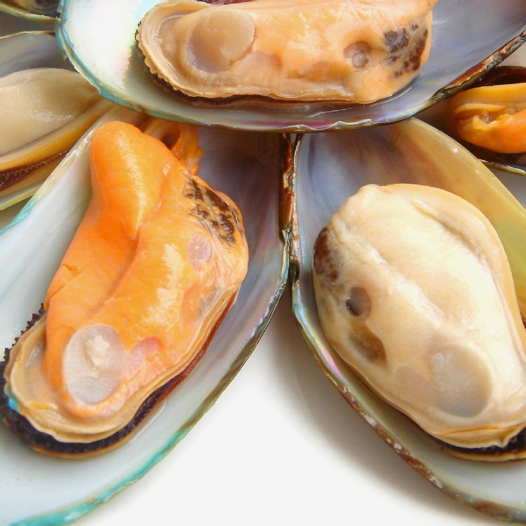 紐西蘭進口半殼淡菜