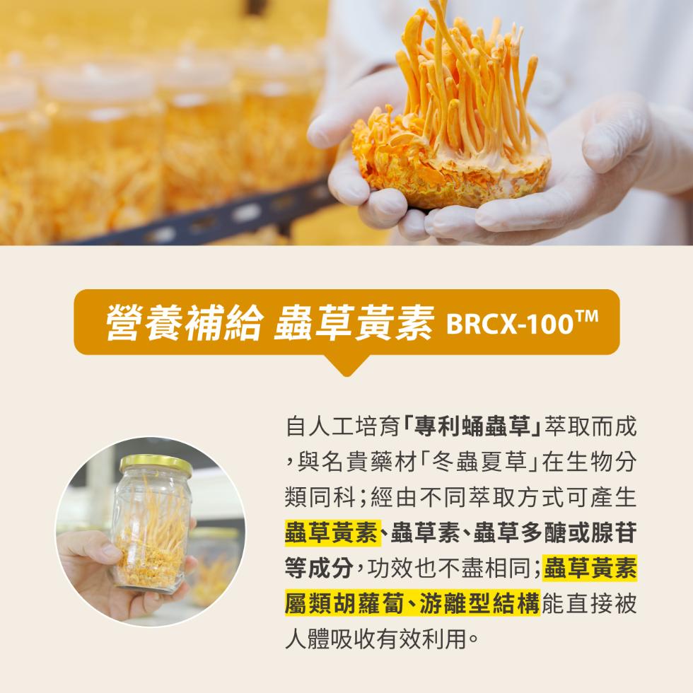 營養補給 蟲草黃素 BRCX-100TM，自人工培育專利蛹蟲草｣萃取而成，與名貴藥材冬蟲夏草在生物分，類同科;經由不同萃取方式可產生，蟲草黃素、蟲草素、蟲草多醣或腺苷，等成分,功效也不盡相同;蟲草黃素，屬類胡蘿蔔、游離型結構能直接被，人體吸收有效利用