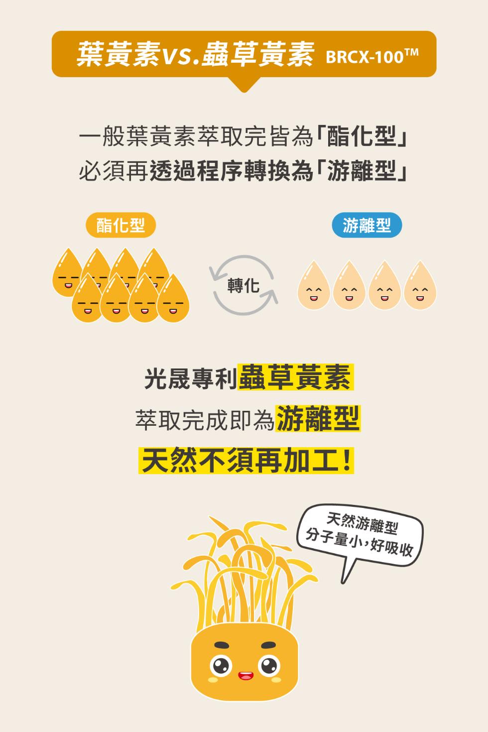 葉黃素VS.蟲草黃素 BRCX-100TM，一般葉黃素萃取完皆為酯化型必須再透過程序轉換為游離型酯化型，游離型，光晟專利蟲草黃素，萃取完成即為游離型，天然不須再加工!天然游離型，分子量小,好吸收,。