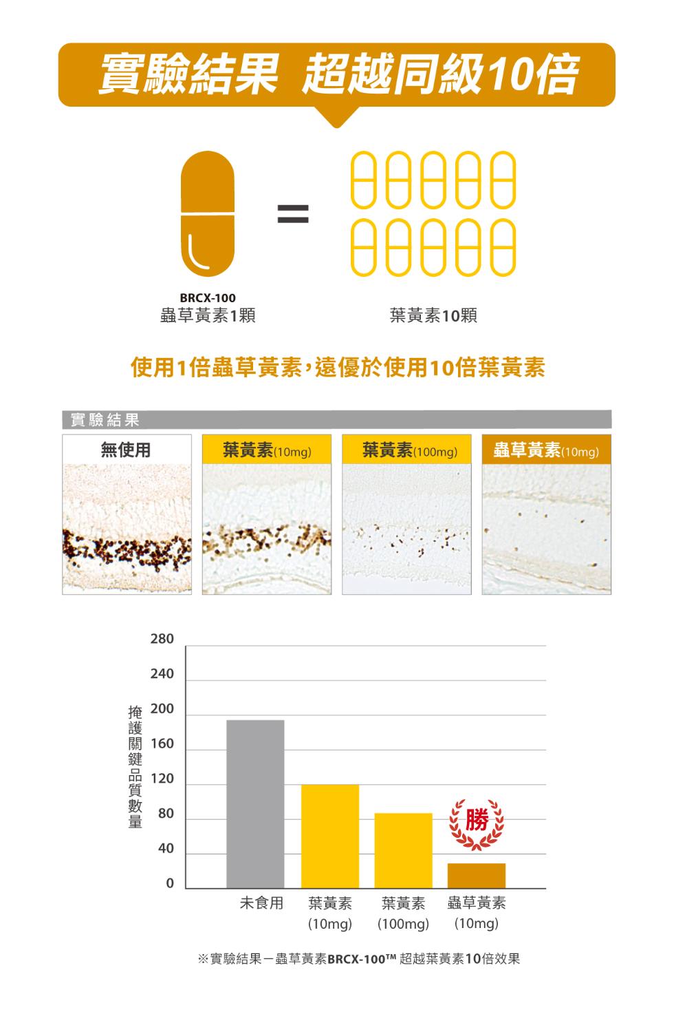 實驗結果 超越同級10倍，蟲草黃素1顆，葉黃素10顆，使用1倍蟲草黃素,遠優於使用10倍葉黃素，實驗結果，無使用，葉黃素(10mg)，葉黃素(100mg)，蟲草黃素(10mg)，掩 200，關 160，掩護關鍵品質數量，勝 T，未食用，葉黃素，葉黃素