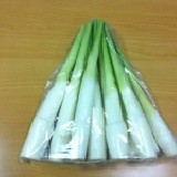 筊白筍 特價：$60