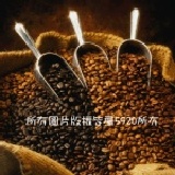 5920 專業咖啡 新鮮烘焙 經典曼巴 咖啡豆 450G/包 專業烘焙 ! ! 訴求新鮮 ! ! 專業咖啡 新鮮烘焙 經典曼巴 咖啡豆 450G/包 專業烘焙 ! ! 訴求新鮮 ! !