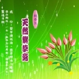 花漾系列紫草膏貼紙-1 防水珠光 每包50張
