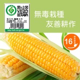 太棒!無毒超級甜玉米