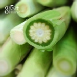 終極鮮嫩~水果玉米筍