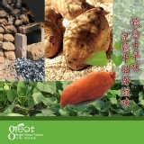 酷夏消暑甜點~冰Q黃金地瓜 懷念的古早味! 拆封即食窈窕代餐首選