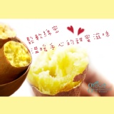 鮮綠農產嚴選當季【台農57號生鮮地瓜】