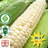 北海道白色水果玉米 特價：$199