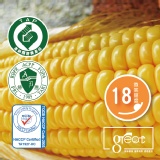 太棒!無毒超級甜玉米 特價：$129