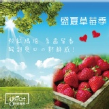 頂級鮮製草莓果粒