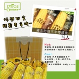 黃金超級甜玉米棒禮盒-10入