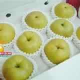 梨山水梨八大粒裝 豐水高接梨