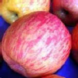 智利秋香蜜蘋果單粒特價中 香翠甜無食用臘皮可直接吃,冰過更香翠